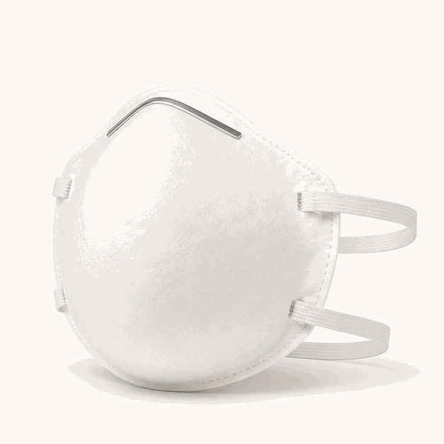 SiteReady Disposable Face Mask